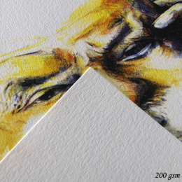 C à grain 224g A4 in the group Paper & Pads / Artist Pads & Paper / Watercolor Pads at Pen Store (101620)