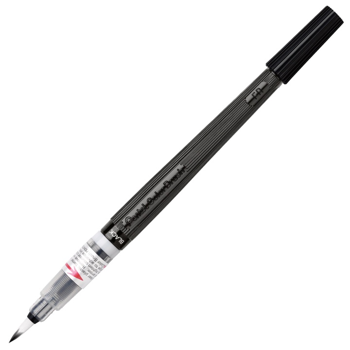 Colour Brush in the group Pens / Artist Pens / Brush Pens at Pen Store (104448_r)
