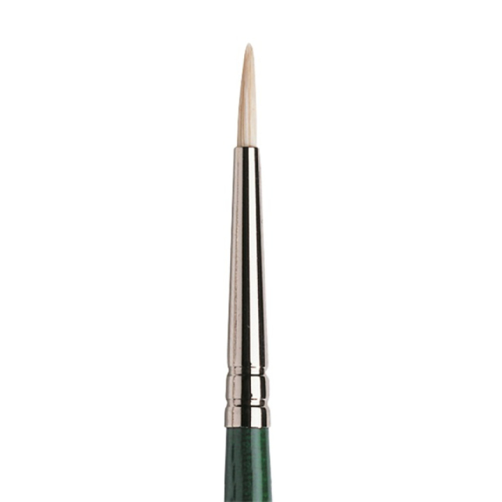 Winton Hog Brush Round 1 in the group Art Supplies / Brushes / Natural Hair Brushes / Hog bristle brushes at Pen Store (107574)