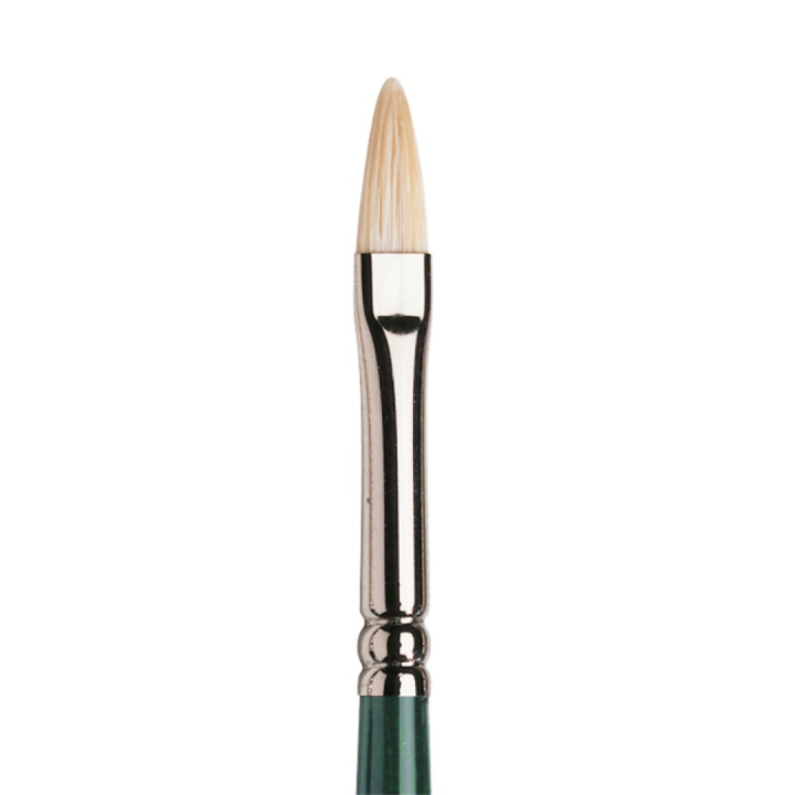 Winton Hog Brush Filbert 2 in the group Art Supplies / Brushes / Natural Hair Brushes / Hog bristle brushes at Pen Store (107656)