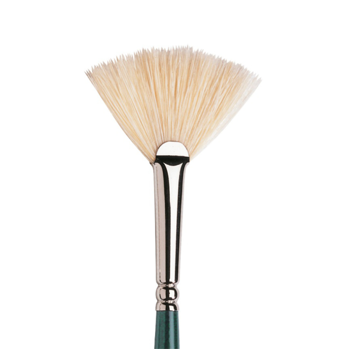 Winton Hog Brush Fan 1 in the group Art Supplies / Brushes / Natural Hair Brushes / Hog bristle brushes at Pen Store (107661)