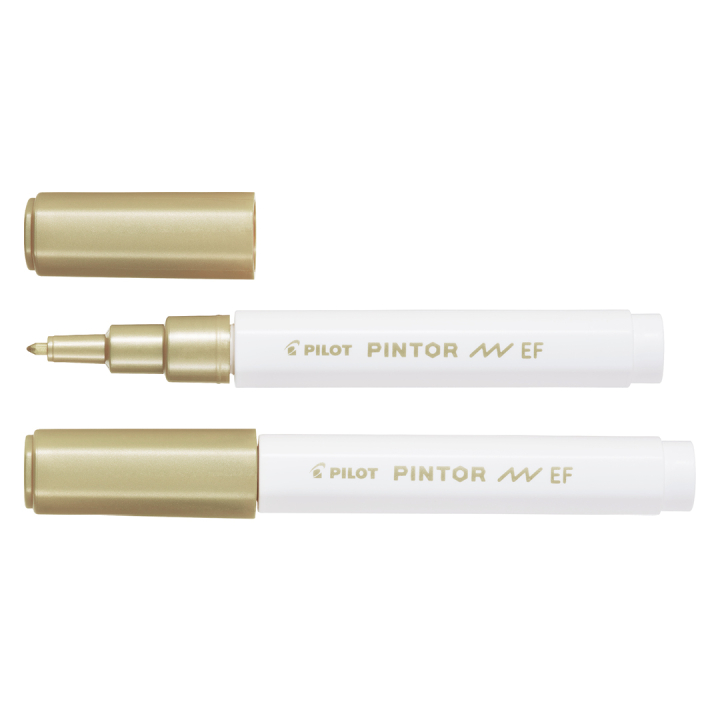 Pintor Extra Fine Tip