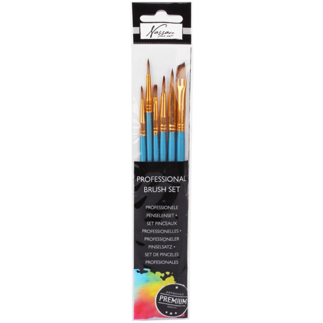 Professional Brush 6-set