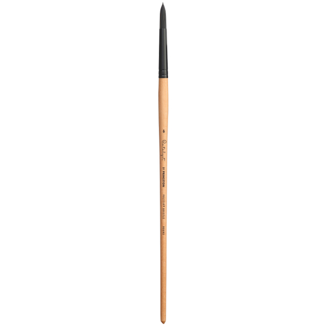 Catalyst Synthetic Long Handle Round size 6