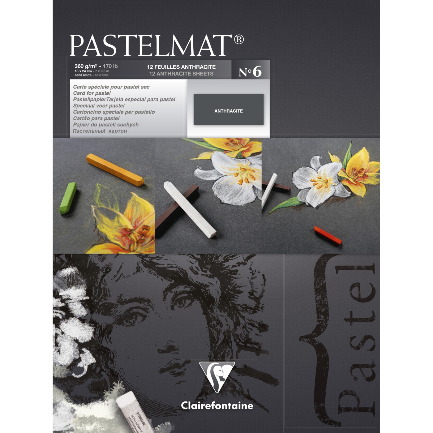 Global Distribution European Art Supplies Clairefontaine Pastelmat Paper