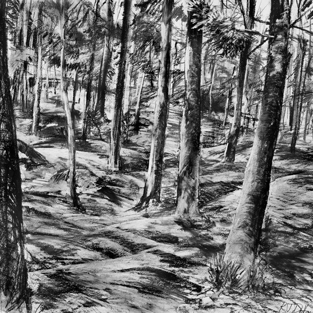 The Innovative Artist: Drawing Dramatic Landscapes