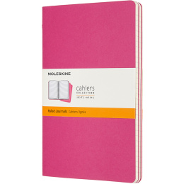 Cahier Notebook Large Pink in the group Product series / Moleskine Cahier Collection at Pen Store (100333_r)