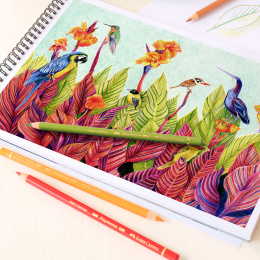 Coloring pencils Polychromos 12-set in the group Pens / Artist Pens / Coloured Pencils at Pen Store (105074)