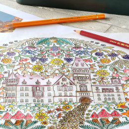 Coloring pencils Polychromos 12-set in the group Pens / Artist Pens / Coloured Pencils at Pen Store (105074)