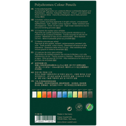 Coloring pencils Polychromos 12-set in the group Pens / Artist Pens / Coloured Pencils at Pen Store (105074)