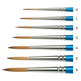 Cotman Brush - Series 222 Round 1 in the group Art Supplies / Brushes / Thin Brushes at Pen Store (107613)