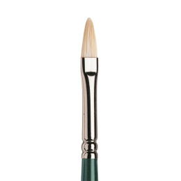 Winton Hog Brush Filbert 2 in the group Art Supplies / Brushes / Natural Hair Brushes / Hog bristle brushes at Pen Store (107656)