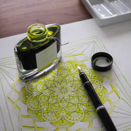 Iroshizuku 50 ml ink in the group Pens / Pen Accessories / Fountain Pen Ink at Pen Store (109157_r)