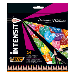 Intensity Premium Coloring pencils 24-pack in the group Pens / Artist Pens / Coloured Pencils at Pen Store (126948)
