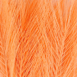 Artificial feathers Pack of 10 Orange in the group Hobby & Creativity / Create / Crafts & DIY at Pen Store (130783)