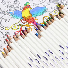 Minabella Colouring pencils School 144-pack in the group Kids / Kids' Pens / Coloring Pencils for Kids at Pen Store (132108)