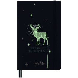 Hard Cover Notebook Large Harry Potter Expecto Patronum in the group Paper & Pads / Note & Memo / Notebooks & Journals at Pen Store (132483)