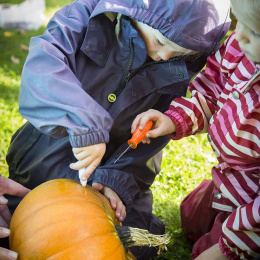 Pumpkin carving kit 5 pcs + templates in the group Hobby & Creativity / Holidays and seasons / Halloween at Pen Store (132630)