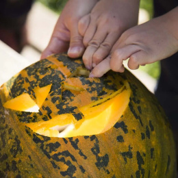 Pumpkin carving kit 5 pcs + templates in the group Hobby & Creativity / Holidays and seasons / Halloween at Pen Store (132630)