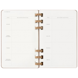 12M Spiral Planner 2025 XL Almond in the group Paper & Pads / Planners / 12-Month Planners at Pen Store (133786)