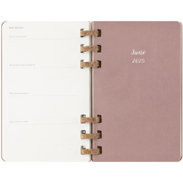 12M Spiral Planner 2025 XL Almond in the group Paper & Pads / Planners / 12-Month Planners at Pen Store (133786)