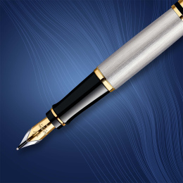 Expert Steel/Gold Fountain pen in the group Pens / Fine Writing / Fountain Pens at Pen Store (135459_r)