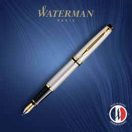 Expert Steel/Gold Fountain pen in the group Pens / Fine Writing / Fountain Pens at Pen Store (135459_r)