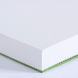 Craftsman Sketchbook Landscape - Olivine in the group Paper & Pads / Artist Pads & Paper / Sketchbooks at Pen Store (135792)