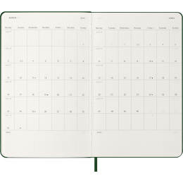 Planner 12M Daily 2026 Hardcover Large Myrtle Green in the group Paper & Pads / Planners / 12-Month Planners at Pen Store (136083)
