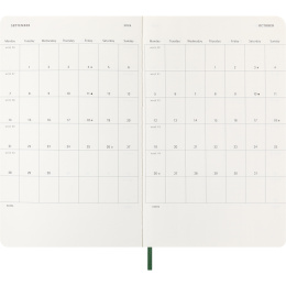 Planner 12M Daily 2026 Softcover Large Myrtle Green in the group Paper & Pads / Planners / 12-Month Planners at Pen Store (136088)