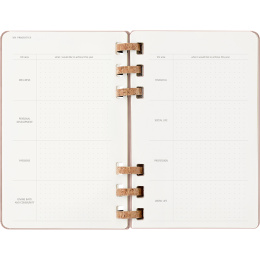 Planner 12M Spiral Planner 2026 Large Almond in the group Paper & Pads / Planners / 12-Month Planners at Pen Store (136105)
