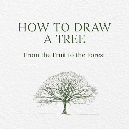 How to Draw a Tree: from the Fruit to the Forest in the group Hobby & Creativity / Books / Art Instruction Books at Pen Store (136291)