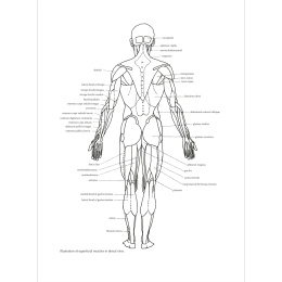 Figure Drawing: A Complete Guide in the group Hobby & Creativity / Books / Inspirational Books at Pen Store (136294)