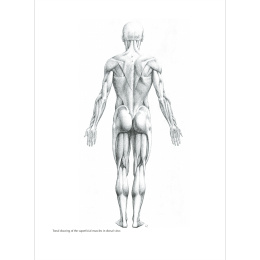 Figure Drawing: A Complete Guide in the group Hobby & Creativity / Books / Inspirational Books at Pen Store (136294)