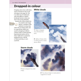 The Watercolour Artist's Bible in the group Hobby & Creativity / Books / Art Instruction Books at Pen Store (136295)