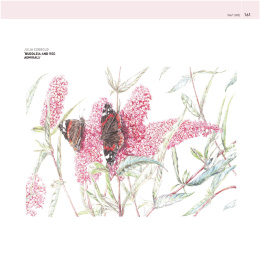 The Encyclopedia of Coloured Pencil Techniques in the group Hobby & Creativity / Books / Art Instruction Books at Pen Store (136298)