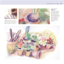 The Encyclopedia of Coloured Pencil Techniques in the group Hobby & Creativity / Books / Art Instruction Books at Pen Store (136298)