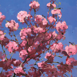 Plein Air Painting with Oils in the group Hobby & Creativity / Books / Art Instruction Books at Pen Store (136306)