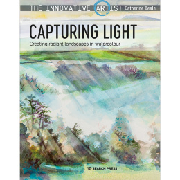 The Innovative Artist: Capturing Light in the group Hobby & Creativity / Books / Art Instruction Books at Pen Store (136308)