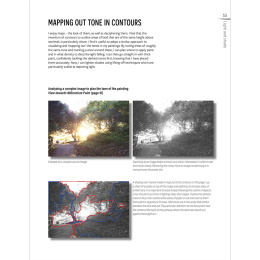 The Innovative Artist: Capturing Light in the group Hobby & Creativity / Books / Art Instruction Books at Pen Store (136308)