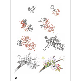 Draw 100: Flowers in the group Hobby & Creativity / Books / Inspirational Books at Pen Store (136315)