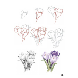 Draw 100: Flowers in the group Hobby & Creativity / Books / Inspirational Books at Pen Store (136315)