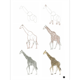 Draw 100: Animals in the group Hobby & Creativity / Books / Inspirational Books at Pen Store (136316)