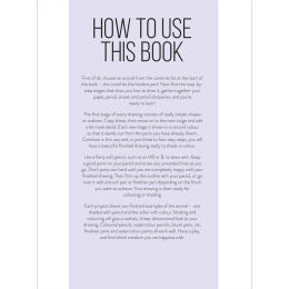 Draw 100: Animals in the group Hobby & Creativity / Books / Inspirational Books at Pen Store (136316)