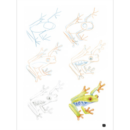 Draw 100: Animals in the group Hobby & Creativity / Books / Inspirational Books at Pen Store (136316)