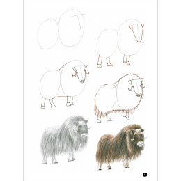 Draw 100: Animals in the group Hobby & Creativity / Books / Inspirational Books at Pen Store (136316)