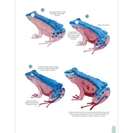 Paint 50: Watercolour Animals in the group Hobby & Creativity / Books / Art Instruction Books at Pen Store (136319)