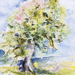 Nature in Watercolour in the group Hobby & Creativity / Books / Inspirational Books at Pen Store (136320)