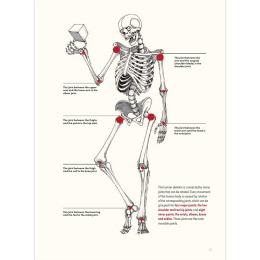 The Art of Fantasy in the group Hobby & Creativity / Books / Inspirational Books at Pen Store (136331)