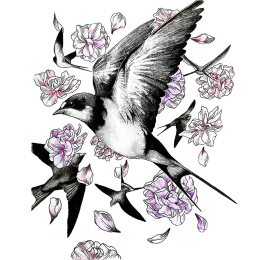 Illustration Watercolour Set in the group Art Supplies / Artist colours / Watercolour Paint / Watercolour pans at Pen Store (136421)